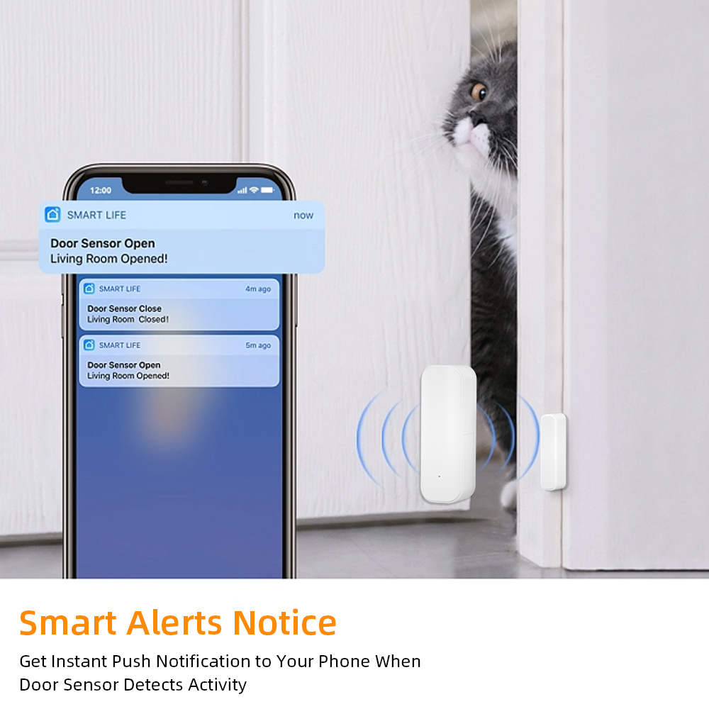 Zigbee 3.0 Wireless Door Windo - Power Tools Google 评论和价格