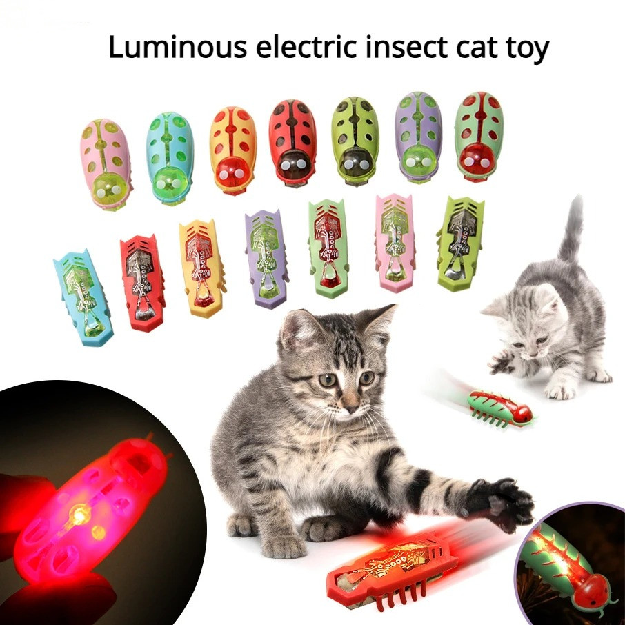 Cat Toys Light-up Electric Wor - Power Tools Cat 评论和价格
